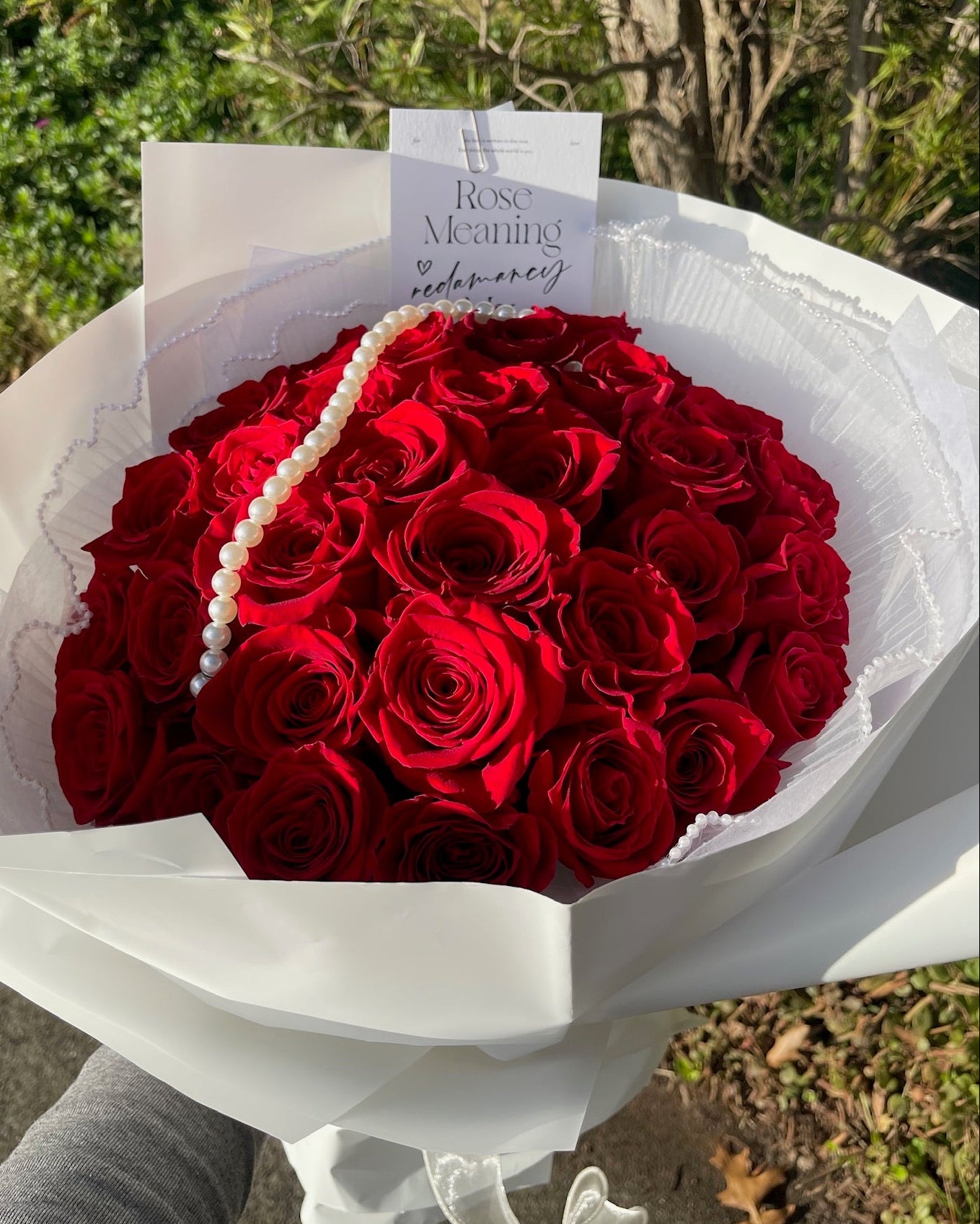 Rosé Romance|33 Stem Red Rose Bouquet